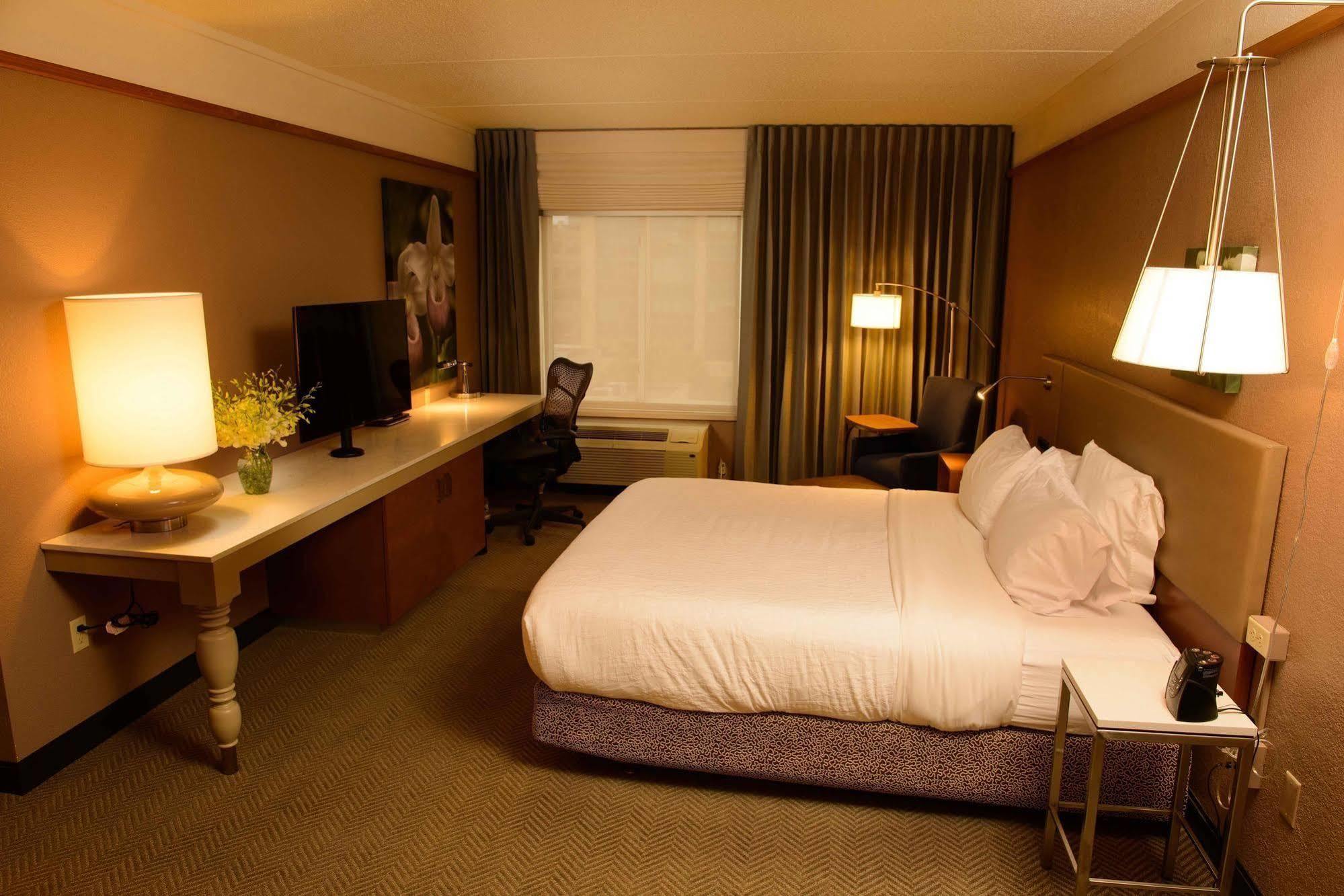 Hilton Garden Inn Rochester Downtown Zewnętrze zdjęcie